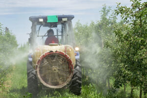 What is paraquat?