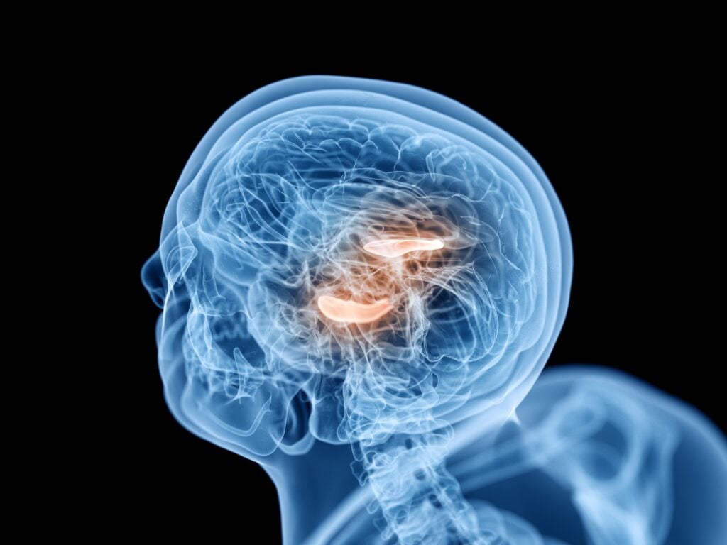 Henderson Brain Injury Lawyer