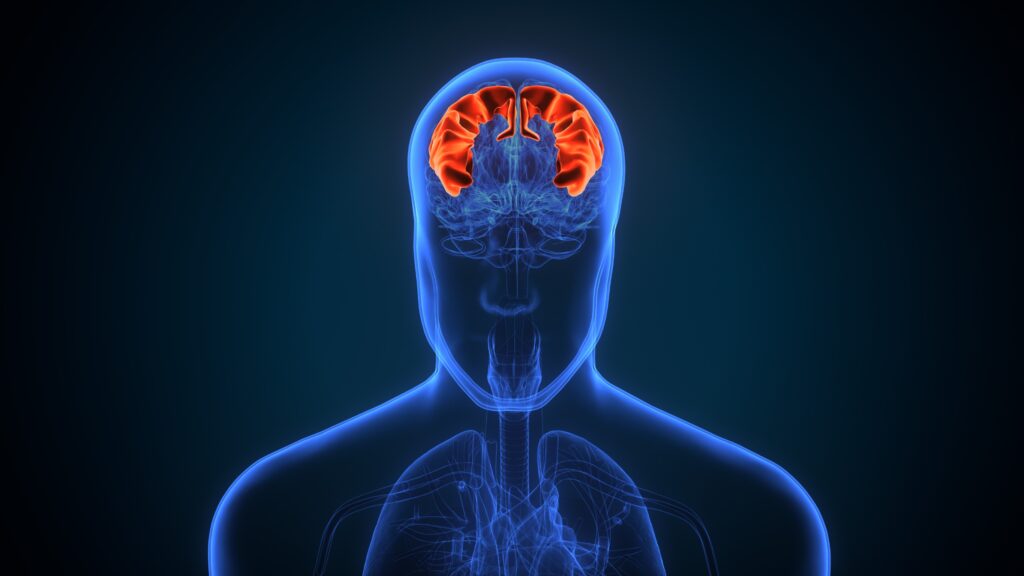 Dayton Brain Injury Lawyer