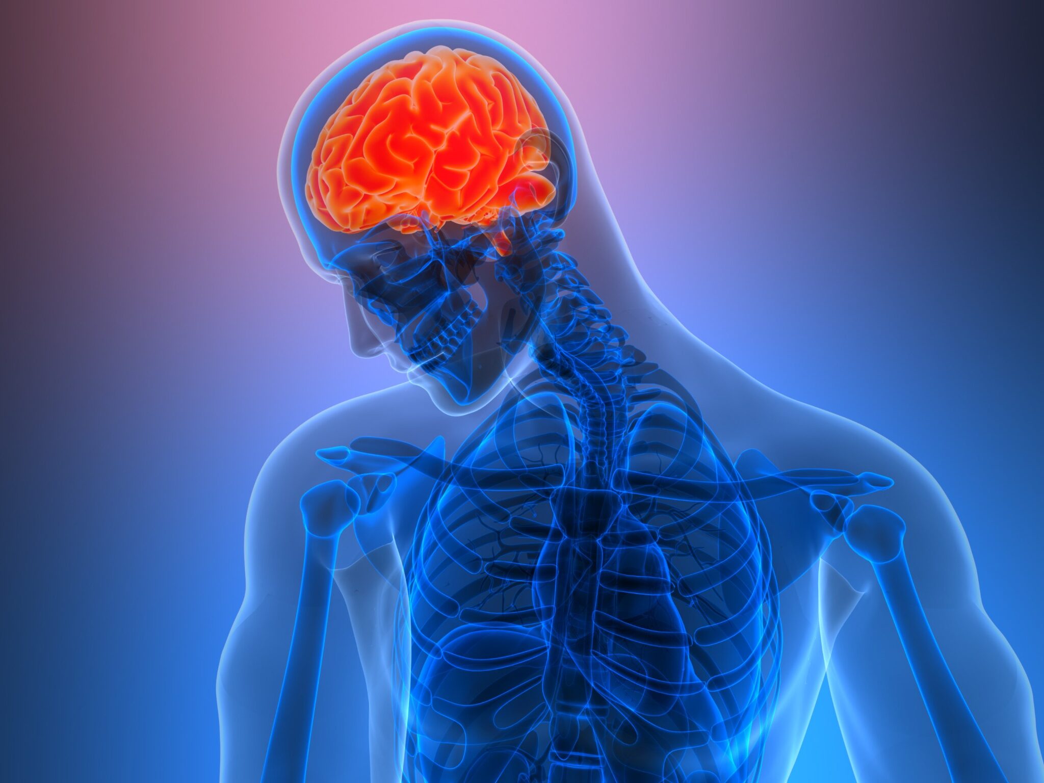 Abogados de lesiones cerebrales en West Wendover
